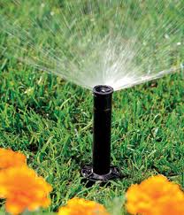 spray head in turf - Waterboys Inground Sprinklers Contracting Inc